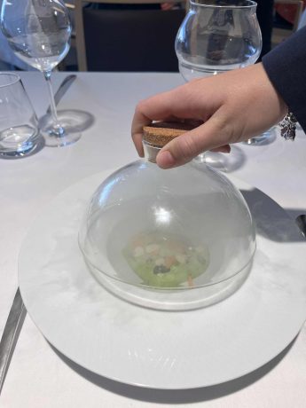 Benoît-Dominique DUVILLIER